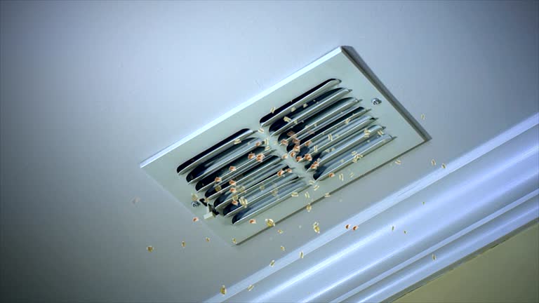 Best HVAC Air Duct Cleaning  in Pelion, SC