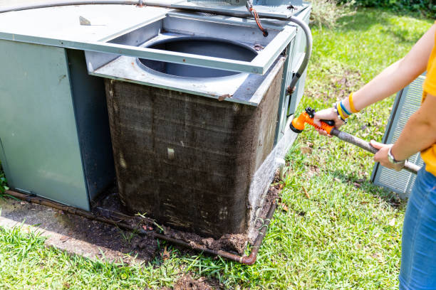 Best Ductwork Cleaning Services  in Pelion, SC