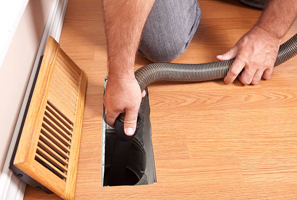 Best HVAC System Cleaning  in Pelion, SC