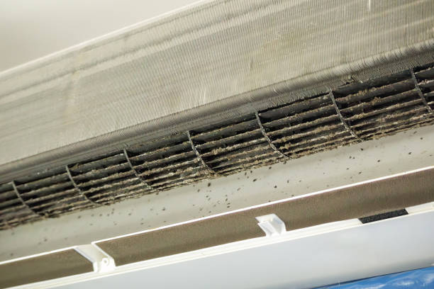 Best Air Duct Cleaning Near Me  in Pelion, SC