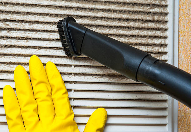 Best Air Vent Cleaning Services  in Pelion, SC